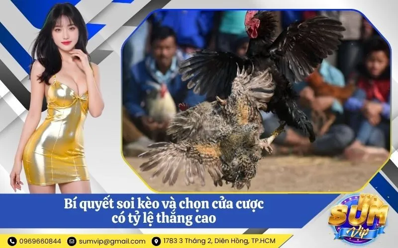 Bí quyết soi kèo và chọn cửa cược có tỷ lệ thắng cao