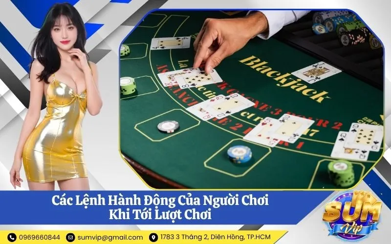 Các Lệnh Hành Động Của Người Chơi Khi Tới Lượt Chơi