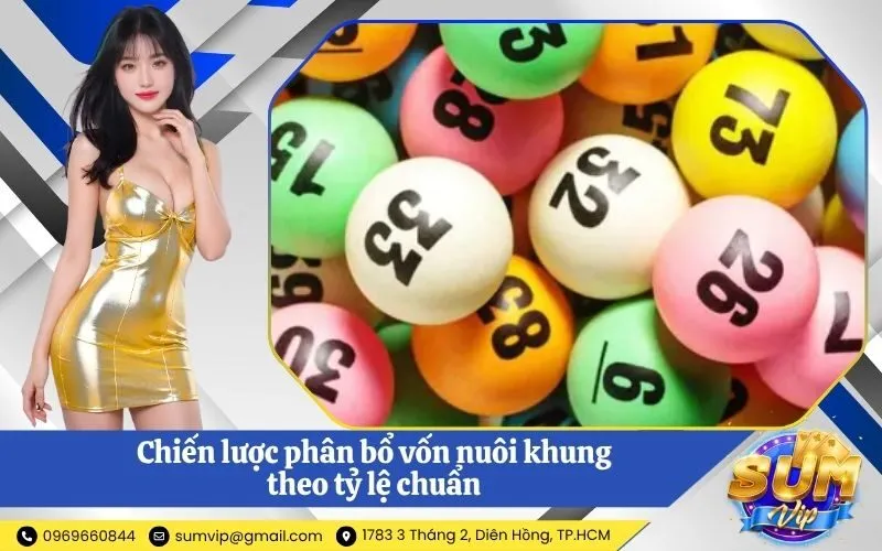 Chiến lược phân bổ vốn nuôi khung theo tỷ lệ chuẩn