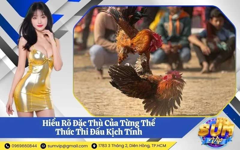 Hiểu Rõ Đặc Thù Của Từng Thể Thức Thi Đấu Kịch Tính