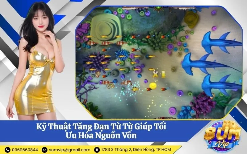 Kỹ Thuật Tăng Đạn Từ Từ Giúp Tối Ưu Hóa Nguồn Vốn