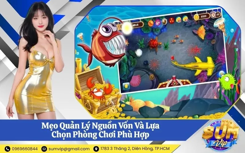 Mẹo Quản Lý Nguồn Vốn Và Lựa Chọn Phòng Chơi Phù Hợp