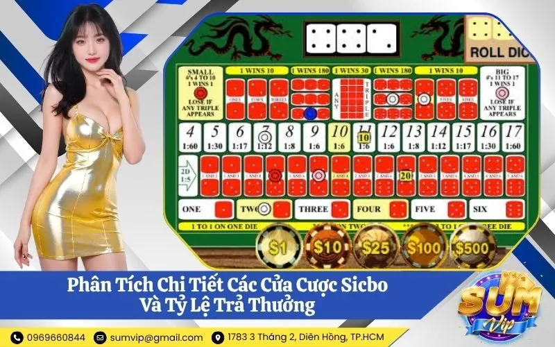 Phân Tích Chi Tiết Các Cửa Cược Sicbo Và Tỷ Lệ Trả Thưởng
