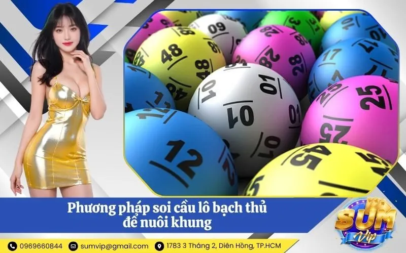 Phương pháp soi cầu lô bạch thủ để nuôi khung