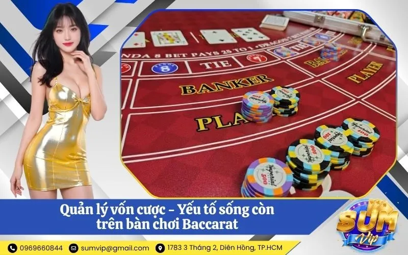 Quản lý vốn cược - Yếu tố sống còn trên bàn chơi Baccarat